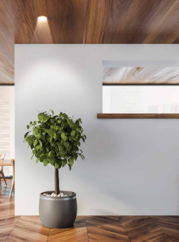 This product enhances décor with minimalistic design, a focused 36-degree beam, and a durable metal housing, offering a longer life of 35,000 hours and wide voltage protection. It is BIS compliant and comes with a 2-year warranty, emitting no harmful UV radiation with a CRI80.